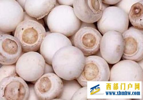 “小葱带你吃天下”——兴安盟寻味内蒙古,走进兴...(图24)