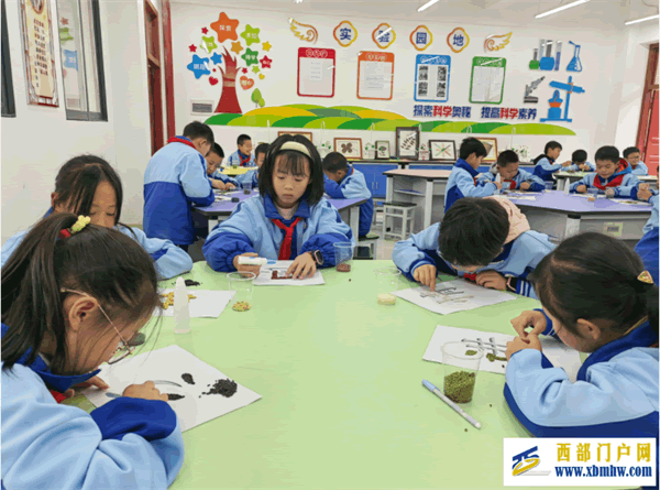 印江六小科学实验班开展五谷杂粮“画”生活兴趣活动课(图1) 图片图片.png