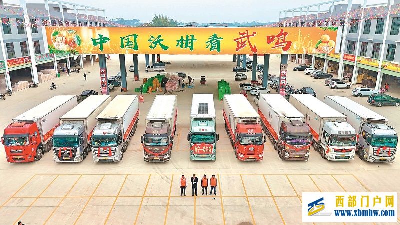 近200吨南宁沃柑、砂糖橘免费送往哈尔滨(图1) 11.jpg