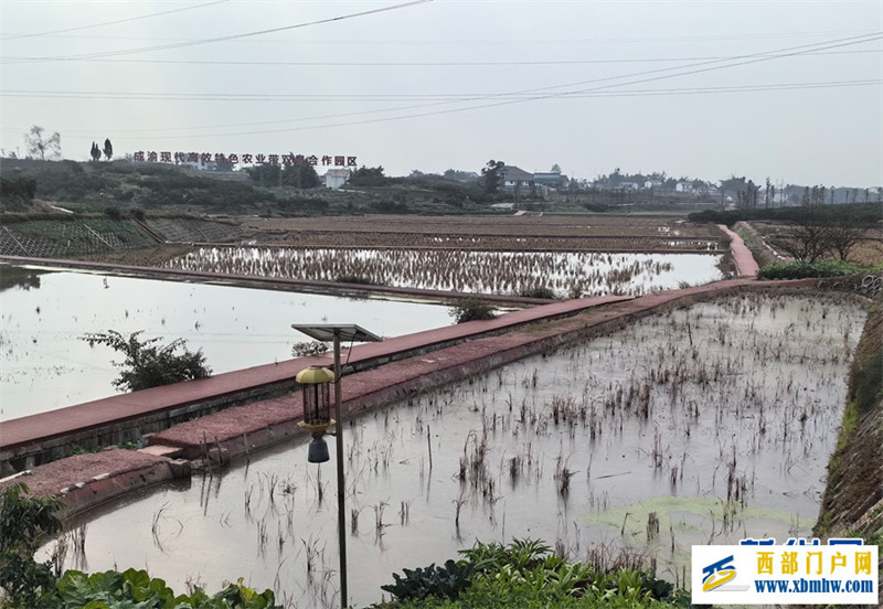 “生态包袱”成“绿色财富”重庆推进无废城市建设一线见闻(图2) “生态包袱”成“绿色财富”重庆推进无废城市建设一线见闻(图2)