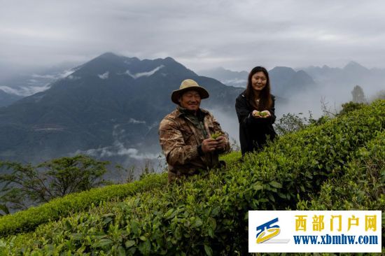 西藏墨脱:茶园飘香富山民(图3) 西藏墨脱:茶园飘香富山民(图3)