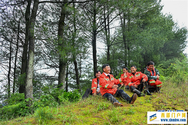 林海里的一抹橘红(图5) 林海里的一抹橘红(图5)