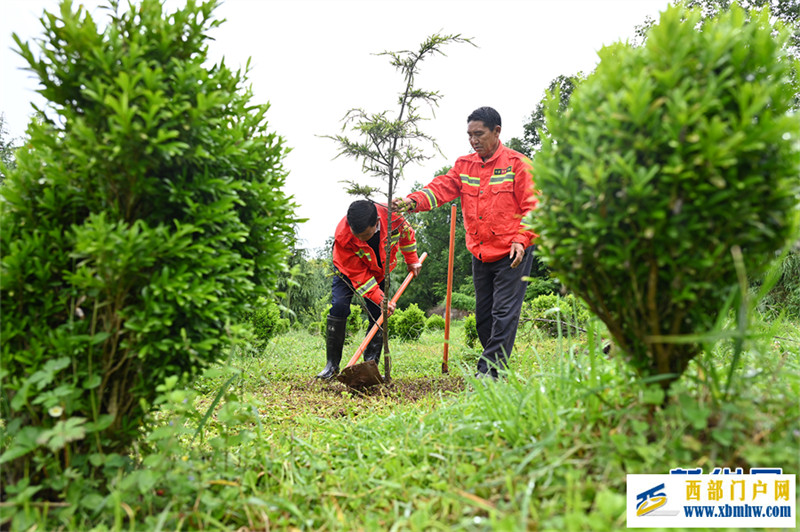 林海里的一抹橘红(图6) 林海里的一抹橘红(图6)