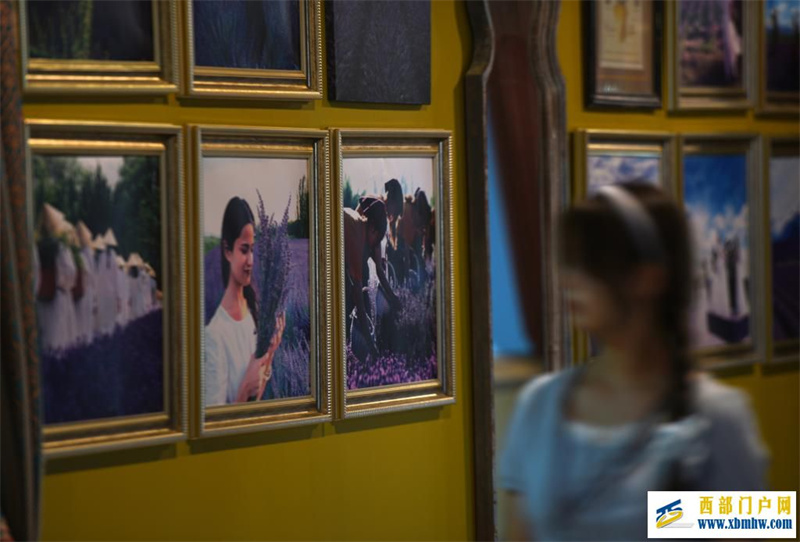 新疆霍城:薰衣草做成大产业(图12) 新疆霍城:薰衣草做成大产业(图12)