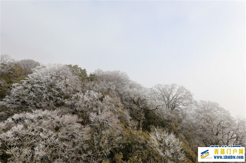 贵州梵净山：春日云海雾凇如画卷(图4)
