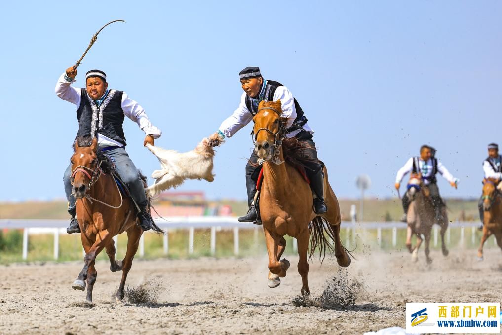盛夏时节 在新疆昭苏领略万马奔腾(图8)