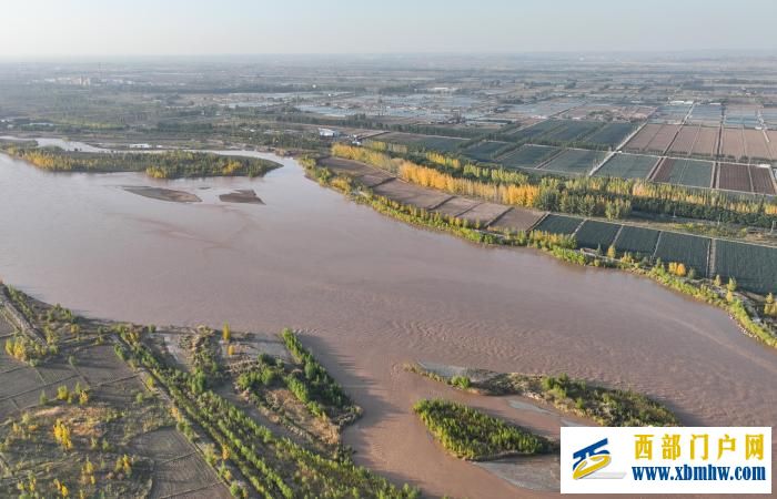 宁夏中卫:黄河岸边秋意浓(图2) 2.jpg