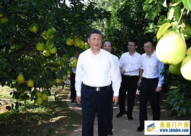 习近平在广东考察时强调(图4)