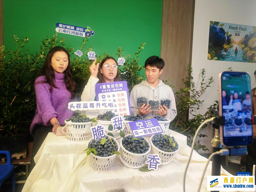 云南蓝莓实现重点地区“次日达”(图1)